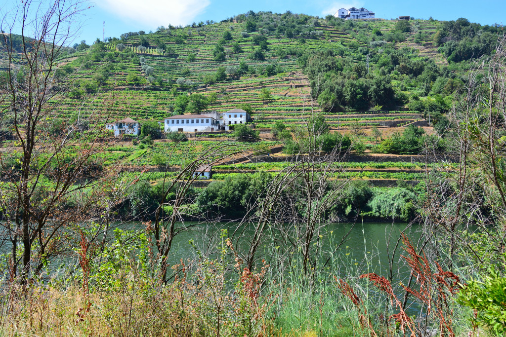 DSC_4893 Caldas de Moledo.jpg