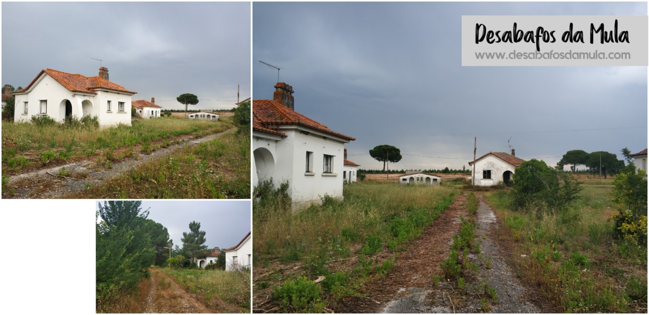 casas e caminhos.jpg