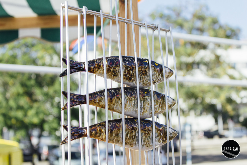 Sardinha_by_Bordallo_Pinheiro-009955.jpg
