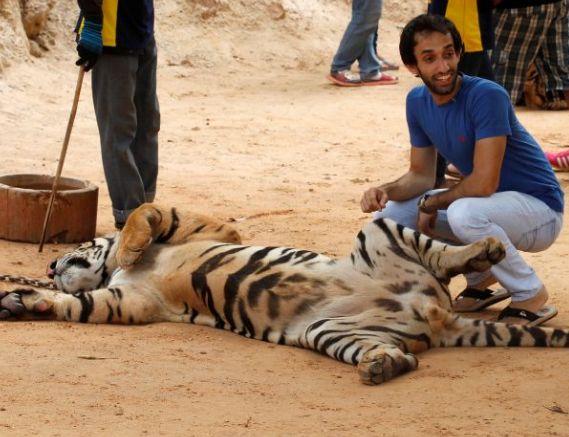 Screenshot 2016-06-01 at 10.40.18.png