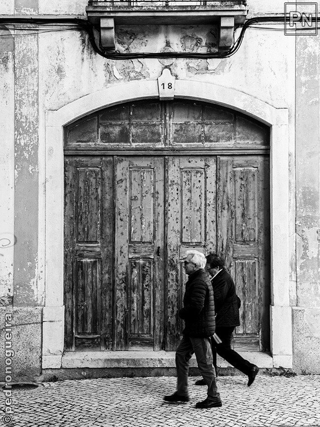 Jan_2023_011 650px.jpg