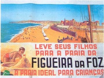 figueira.jpg figueira.jpg