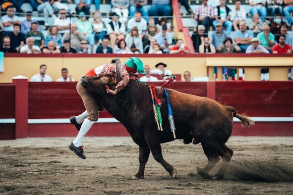 12-Pega de Toni dos Forcados da TTT ao 4º toiro d