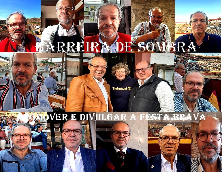 barreira de sombra 4.jpg