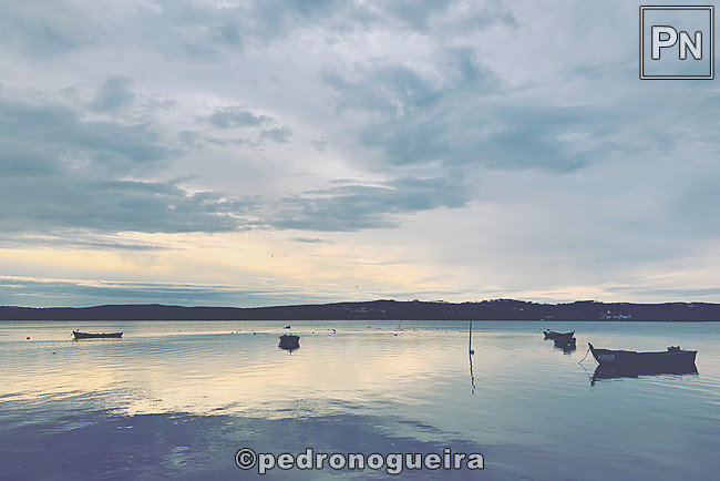 Nov_2020_079a 3_2 650px.jpg