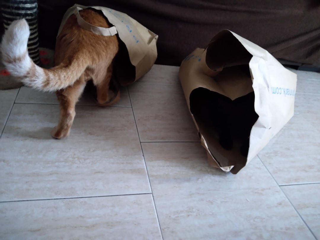 SquarePic_20190801_12264795.jpg SquarePic_20190801_12264795.jpg