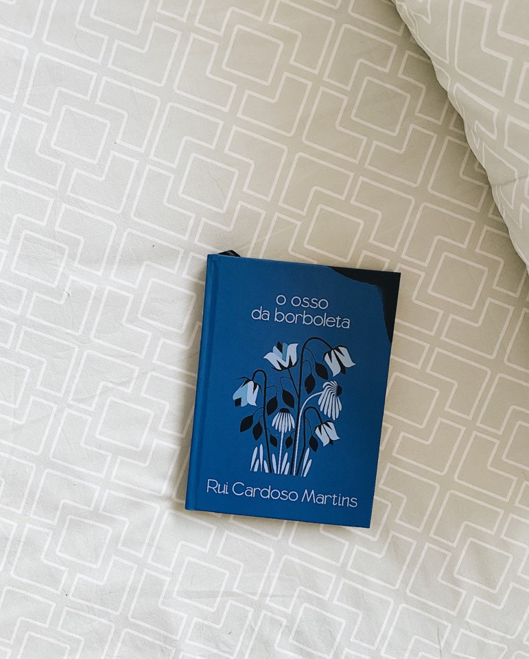 osso-da-borboleta-rui-cardoso-martins.jpg