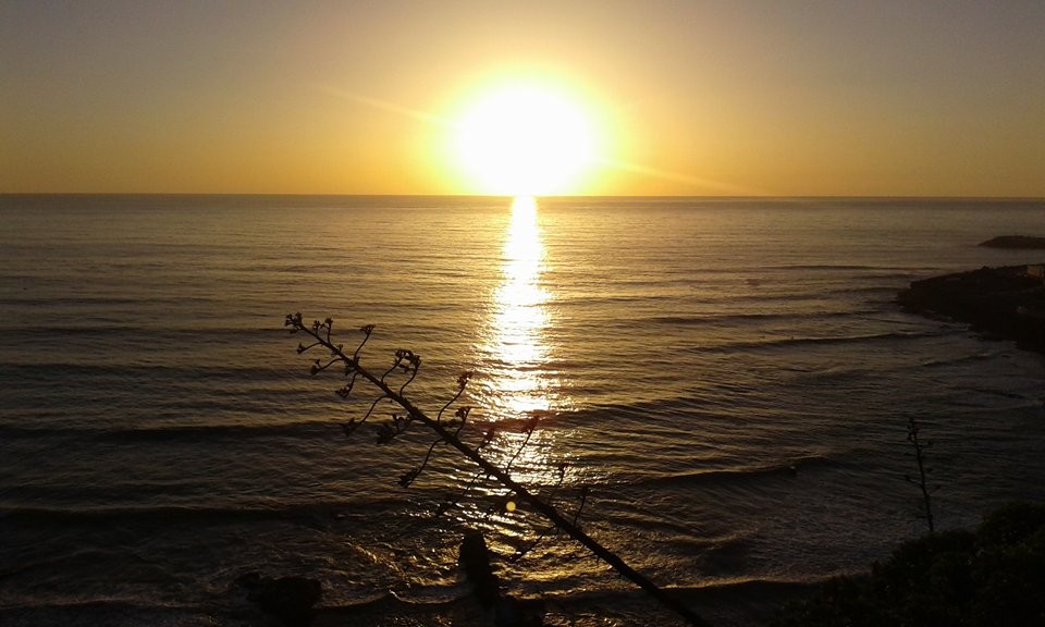 14081244_1187990714607056_231934428_n.jpg 14081244_1187990714607056_231934428_n.jpg