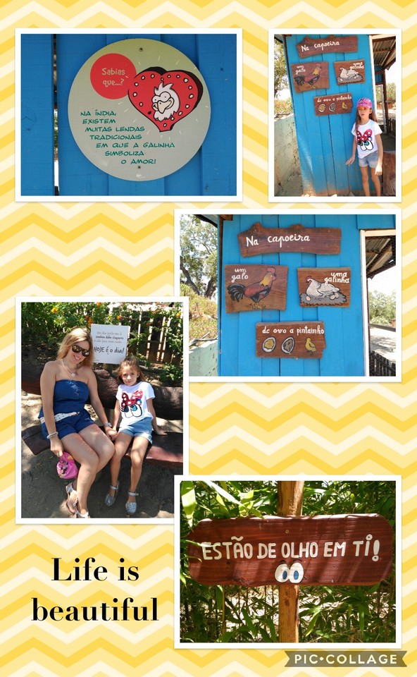 Collage 2017-07-22 22_56_28.jpg Collage 2017-07-22 22_56_28.jpg