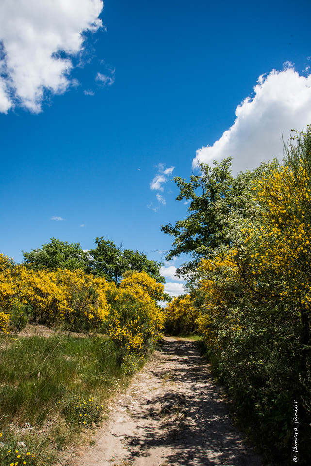 08.- Vagueando pela Montanha.jpg