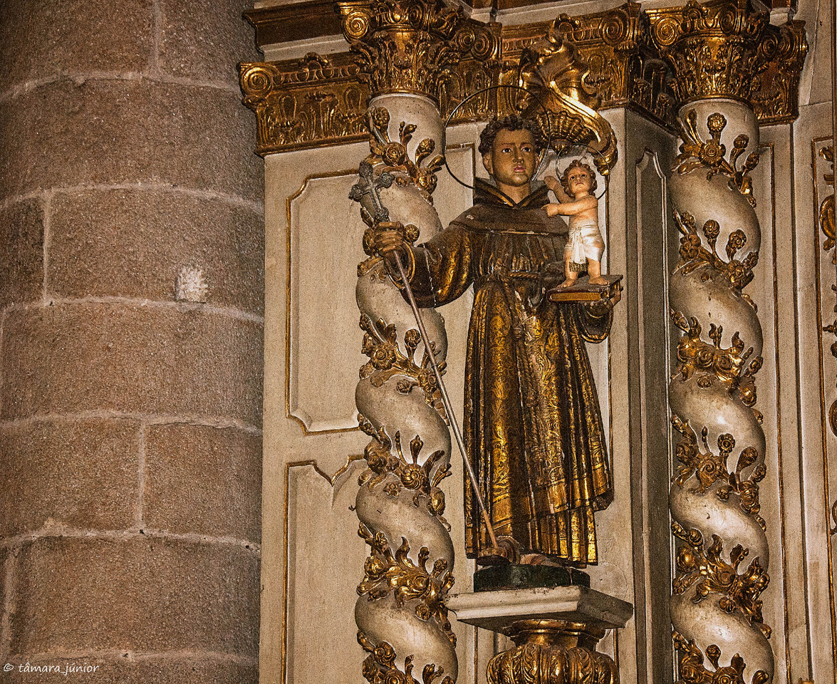 11a.- 2012 - Linha Sabor (Pocinho-Moncorvo) 292.jp