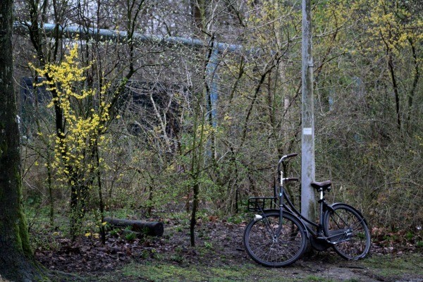 IMG_1382.JPG IMG_1382.JPG