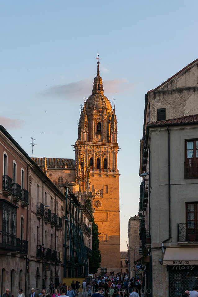 DSC02903.jpg DSC02903.jpg