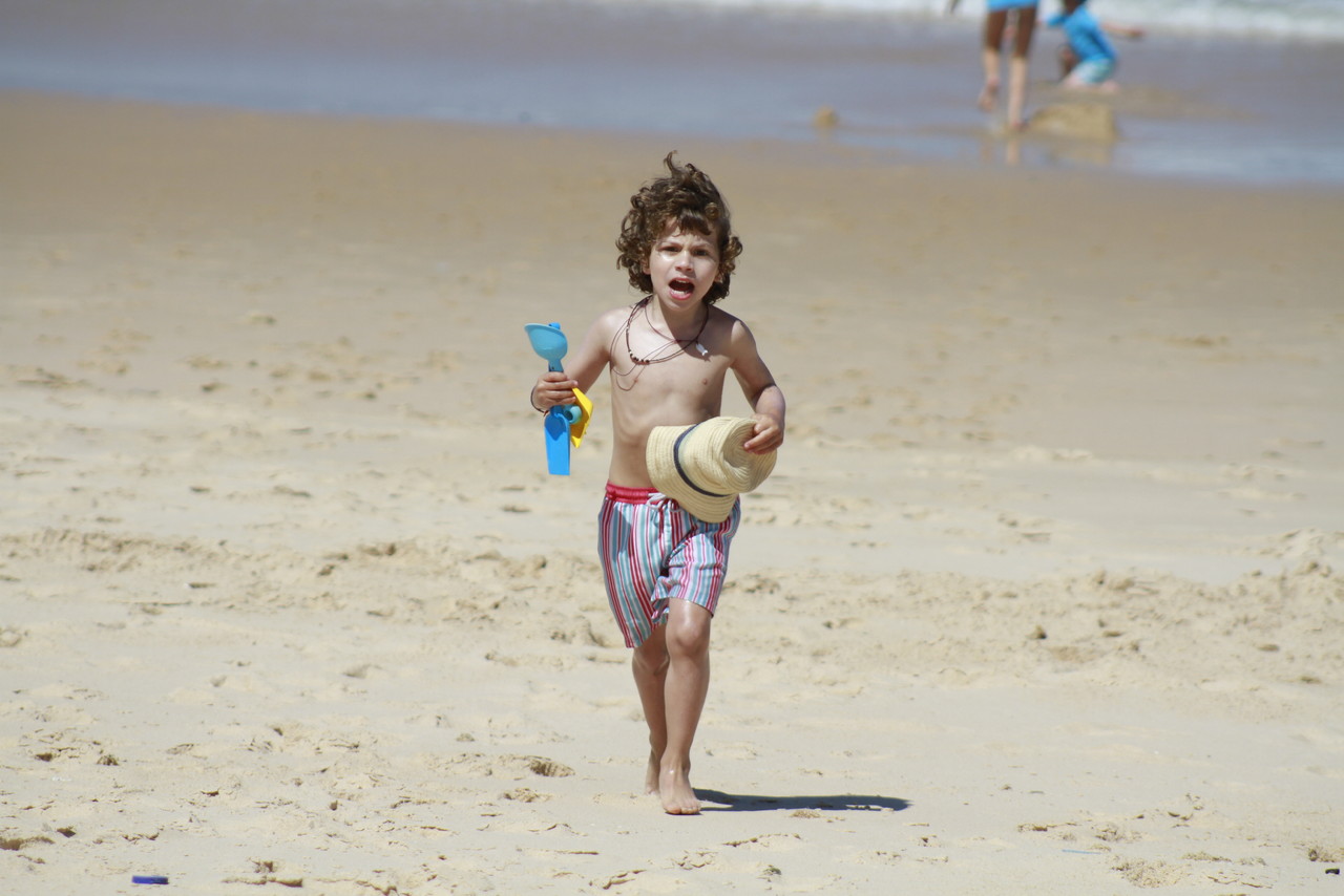 _MG_2900.JPG _MG_2900.JPG