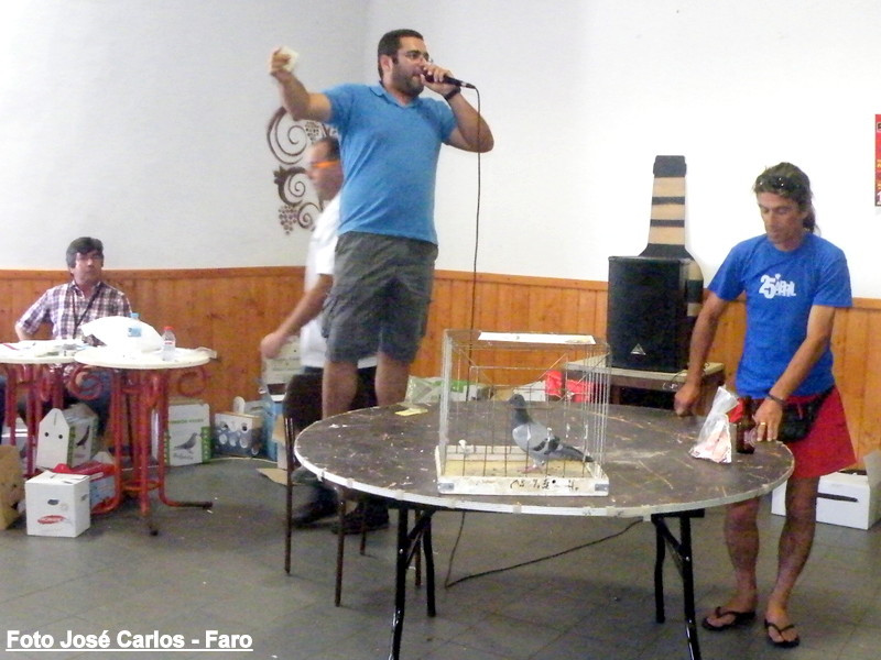 Leilão Ervidel 030.JPG