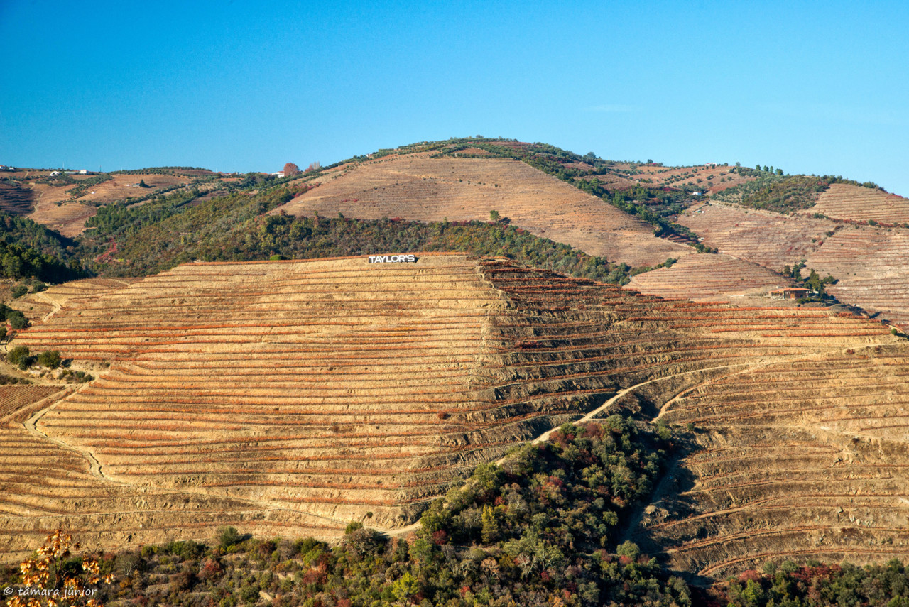 2017.- Pelo Douro no outono II (486).jpg 2017.- Pelo Douro no outono II (486).jpg