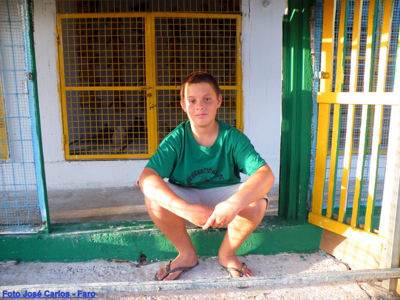 Derby Faro 2016 006.JPG