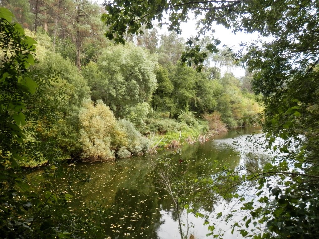 P9110261.JPG P9110261.JPG