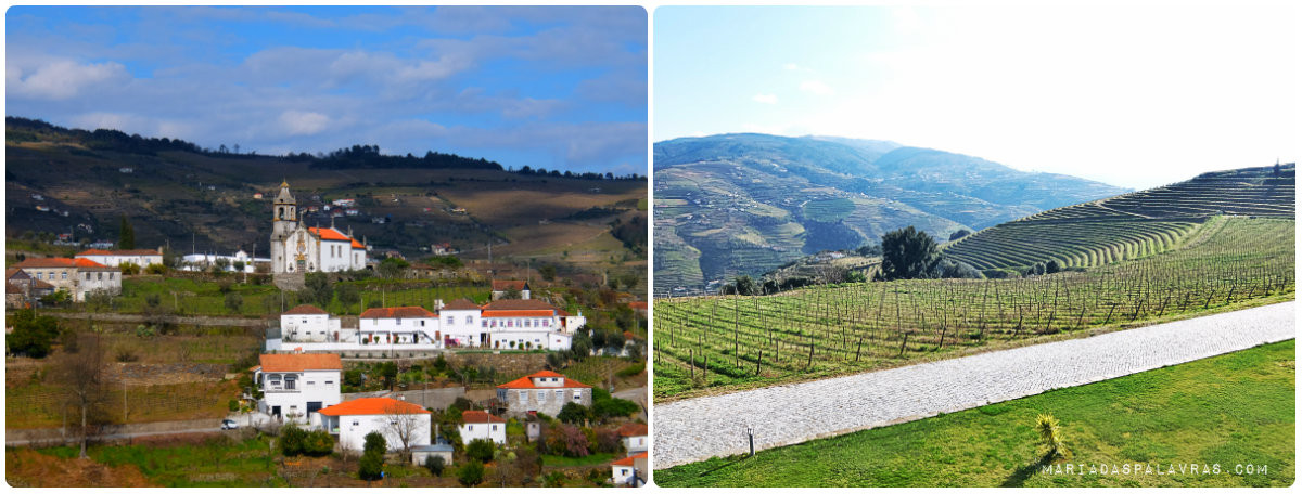 Vista sobre o Douro - Maria das Palavras