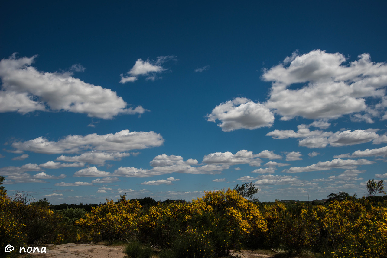 25.- Vagueando pela Montanha.jpg