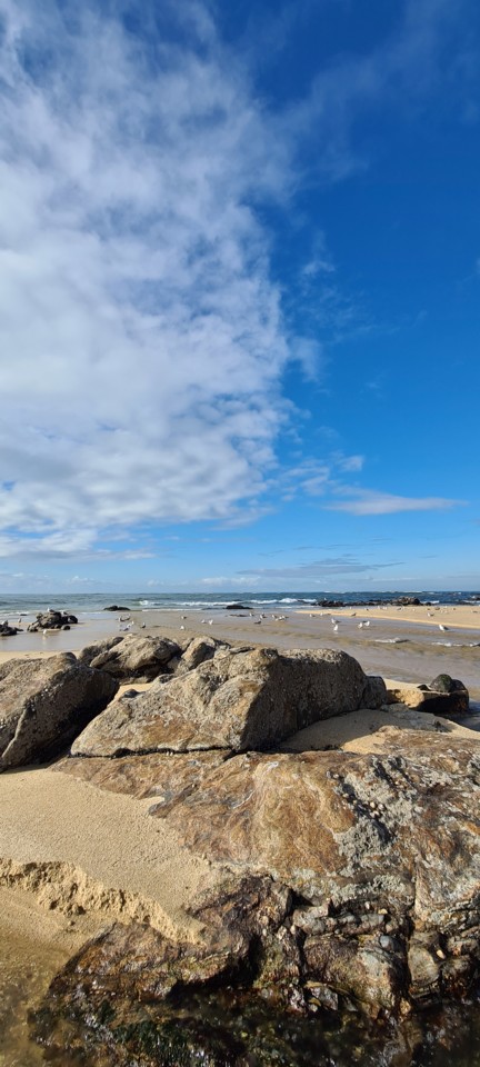 20210103_135905.jpg 20210103_135905.jpg