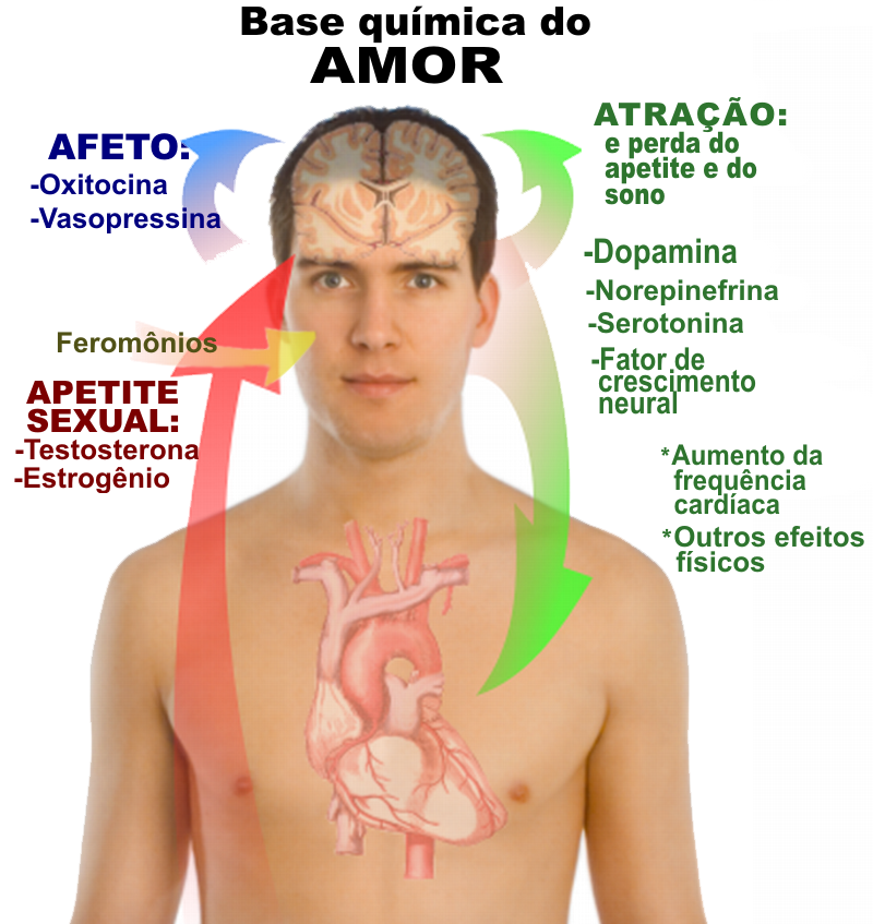 Base_química_do_amor.png