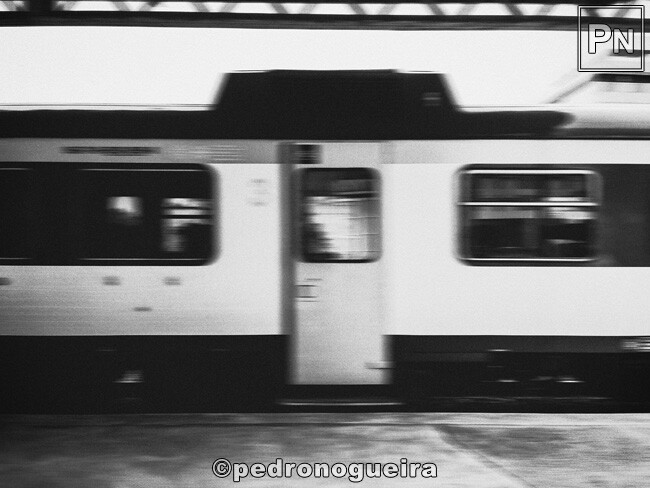 Jun_2023_029 650px.jpg