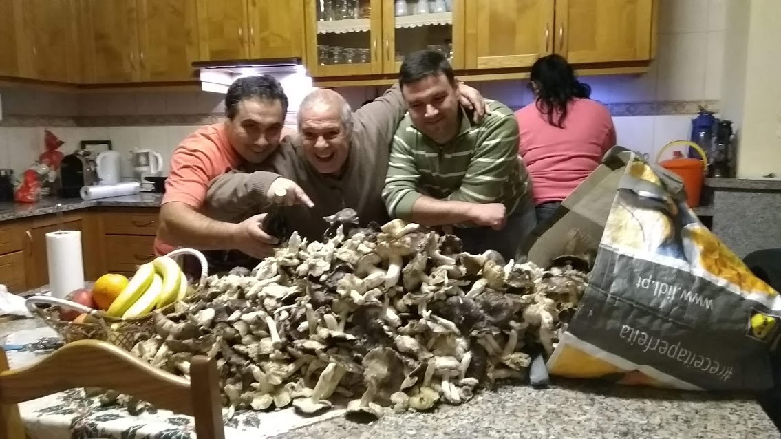 Míscaros.jpg Míscaros.jpg