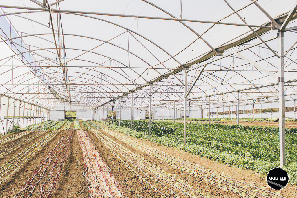 Garnier_Bio_Quinta_do_Arneiro-017763.jpg Garnier_Bio_Quinta_do_Arneiro-017763.jpg