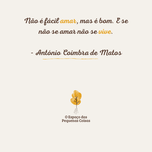 KS XXXVIII Coimbra de Matos.png