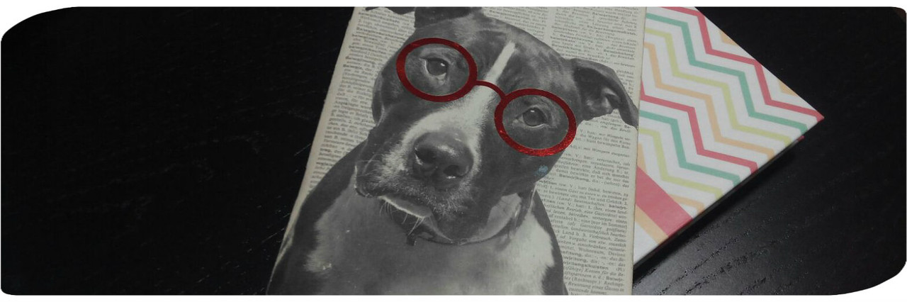 O Caderninho - Maria das Palavras