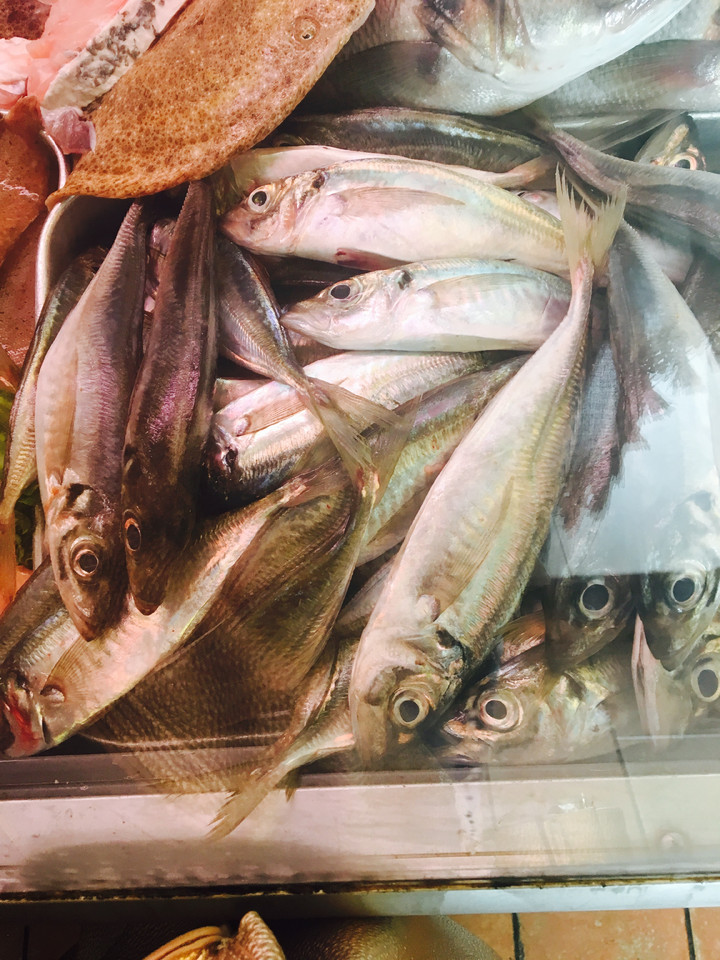 FullSizeRender.jpg FullSizeRender.jpg