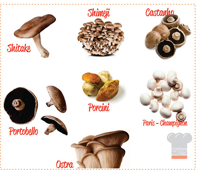 Blog Confra dos Chefs - Cogumelos.jpg Blog Confra dos Chefs - Cogumelos.jpg