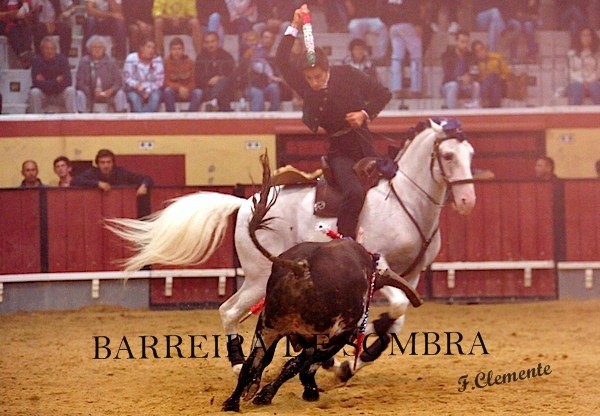 barreira de sombra28-28-50-DSC_9876.JPG barreira de sombra28-28-50-DSC_9876.JPG