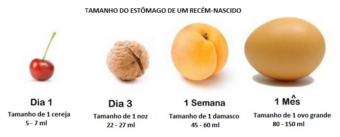 estômago do RN.jpg estômago do RN.jpg