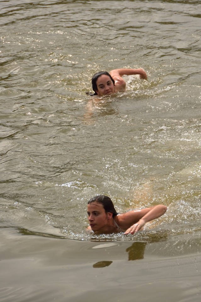 DSC_1393.jpg DSC_1393.jpg