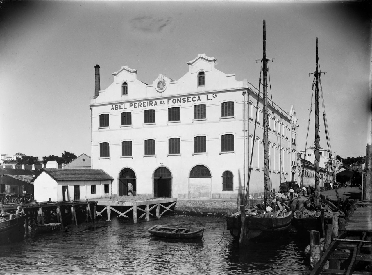 17917693_1522950437738039_3560577616034445948_o.jp