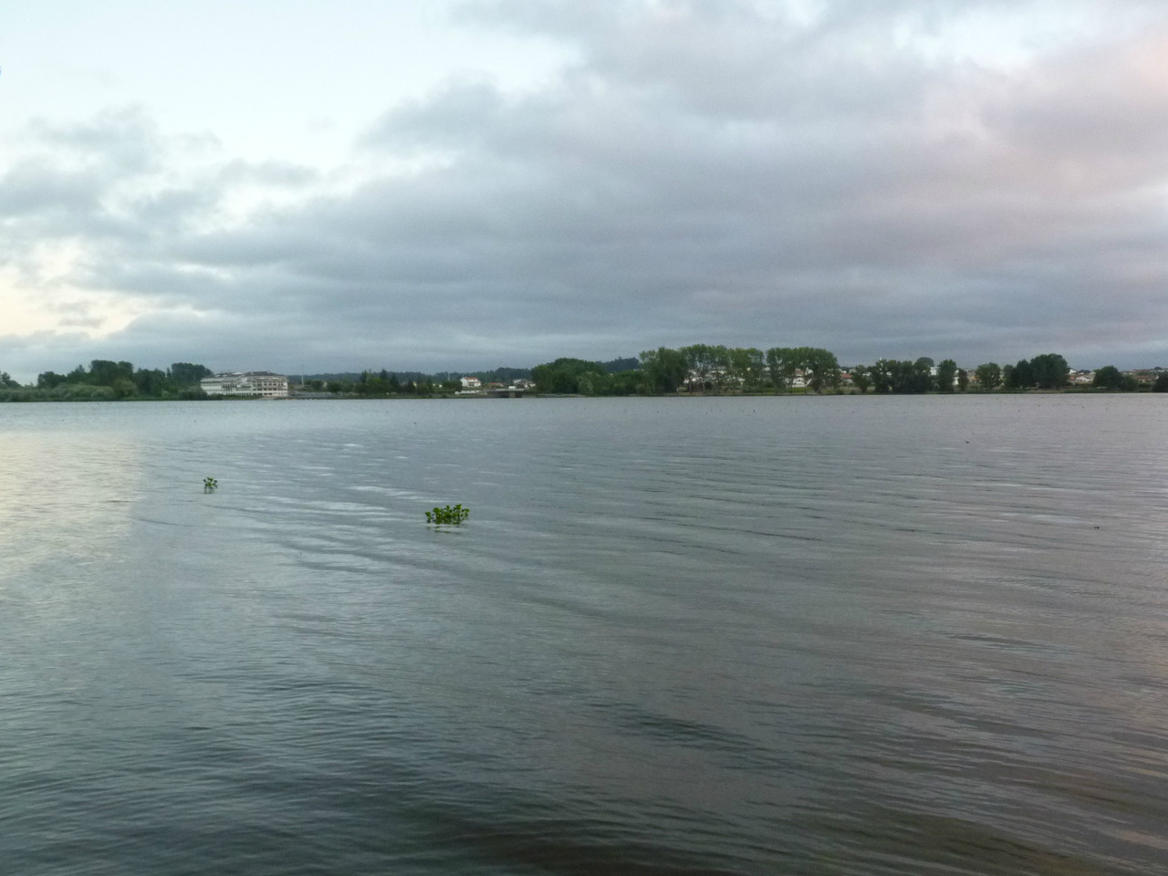 Pateira de Fermentelos (25).jpg