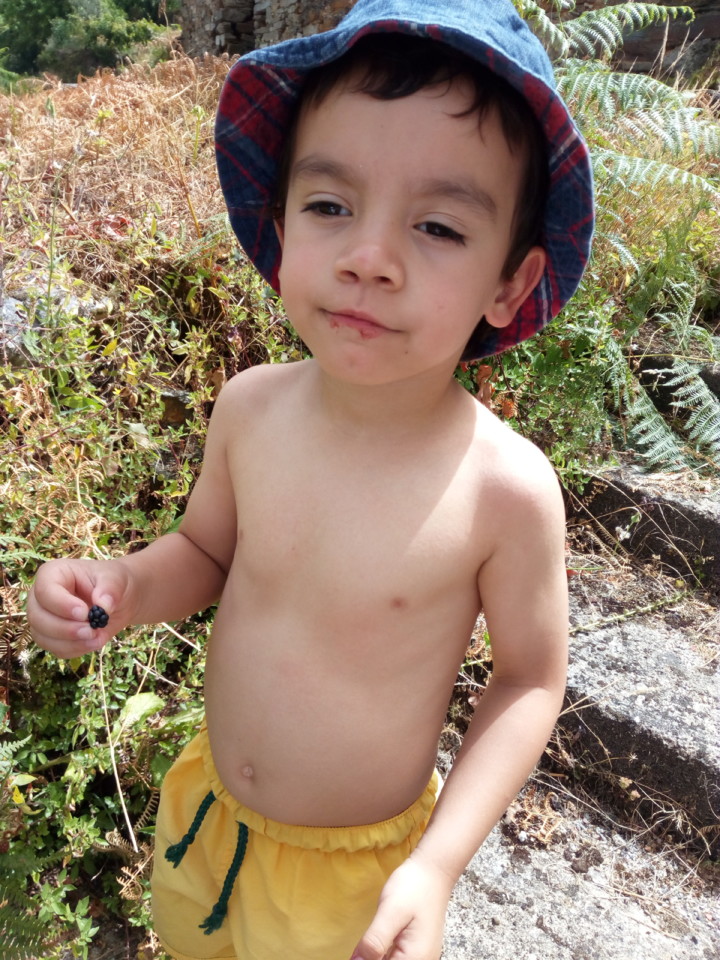 IMG_20180805_122738.jpg IMG_20180805_122738.jpg