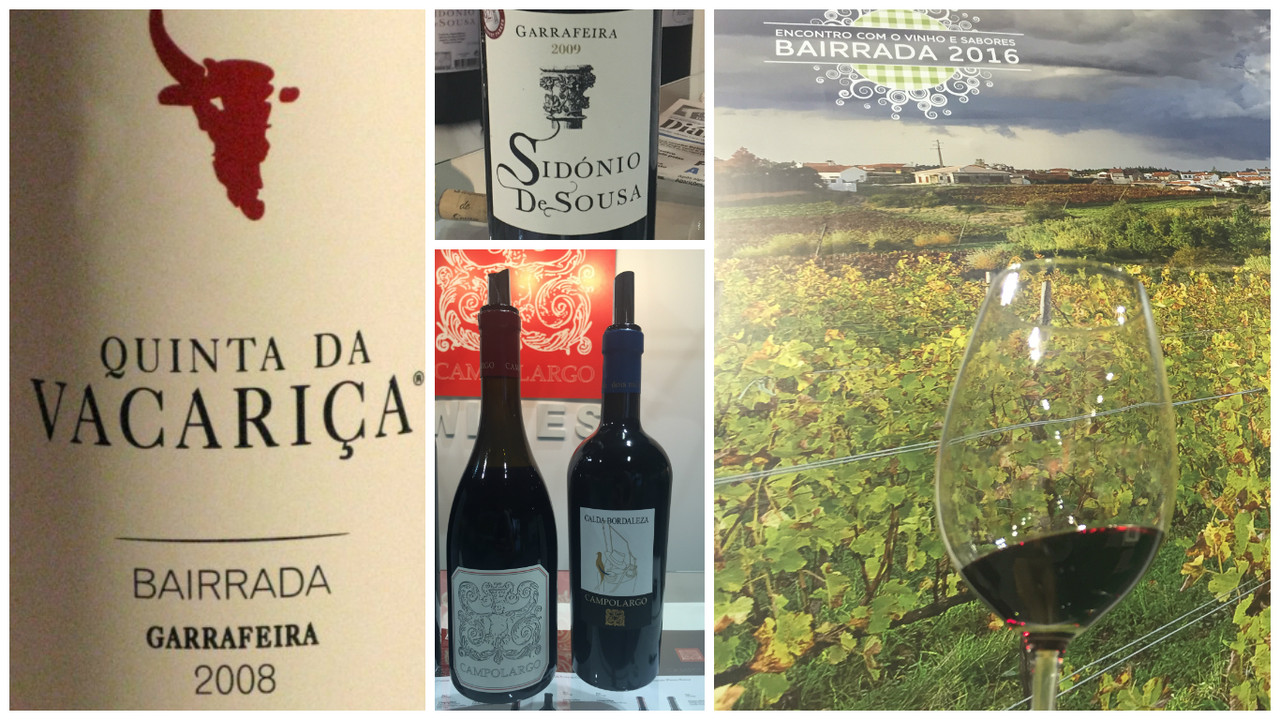 Encontro com o Vinho e Sabores Bairrada 2016 - 1ª impressão