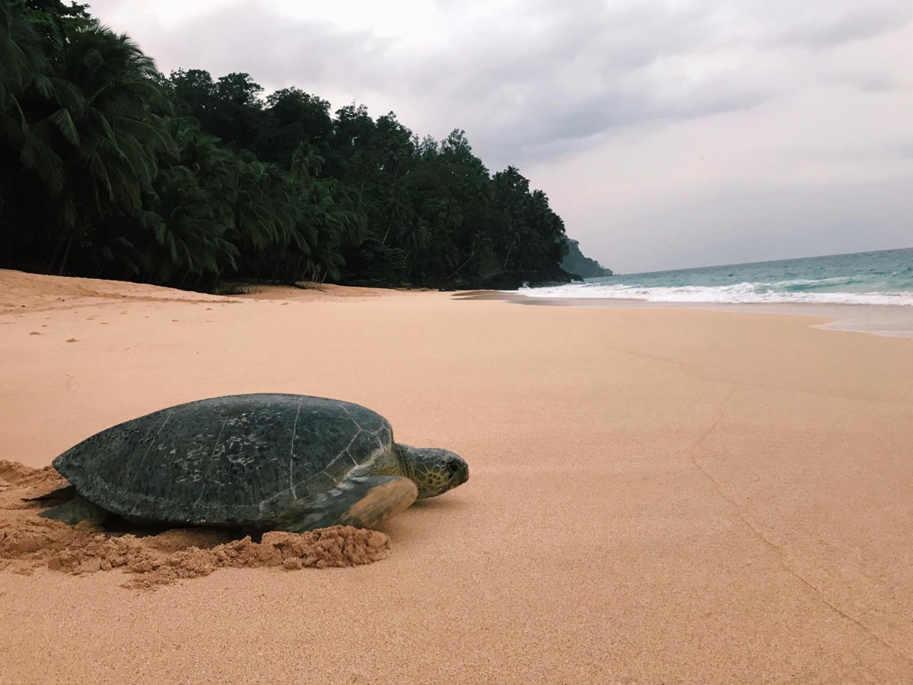 f748412d-a55a-43bd-bcf7-18b638cf870b.JPG f748412d-a55a-43bd-bcf7-18b638cf870b.JPG