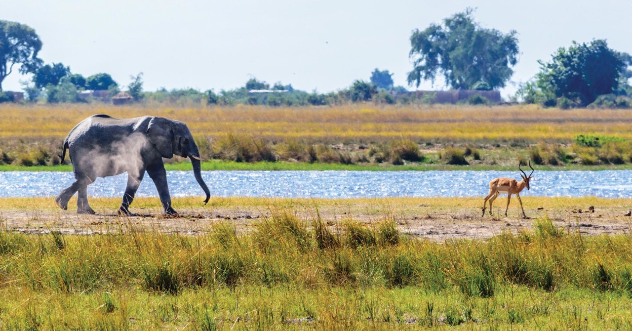 GM-Travel-SustainableTourismCountries-Botswana-152