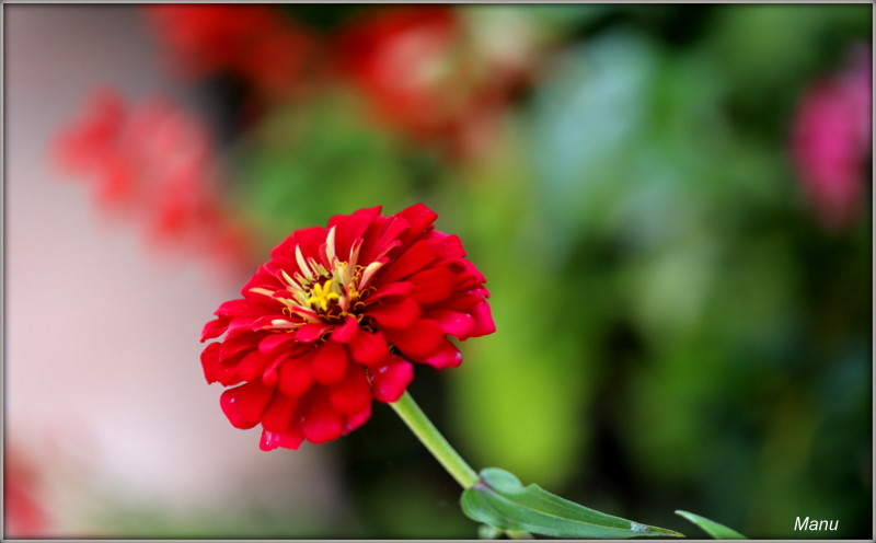 IMG_4084.JPG IMG_4084.JPG