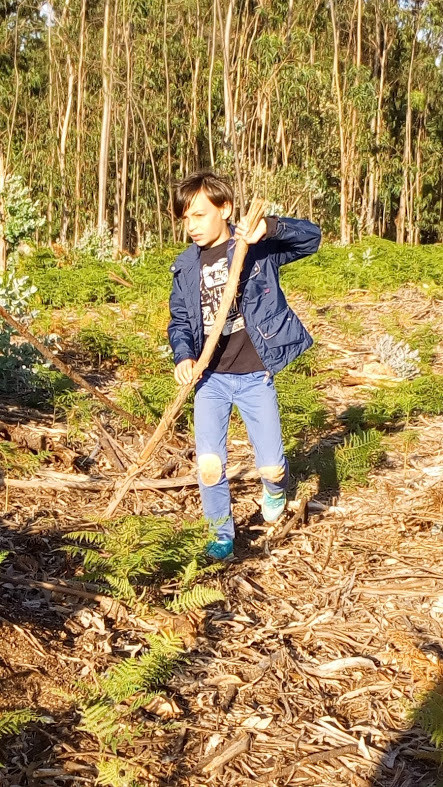 Nao_me_canso_disto_passeioEevee1b.jpg Nao_me_canso_disto_passeioEevee1b.jpg