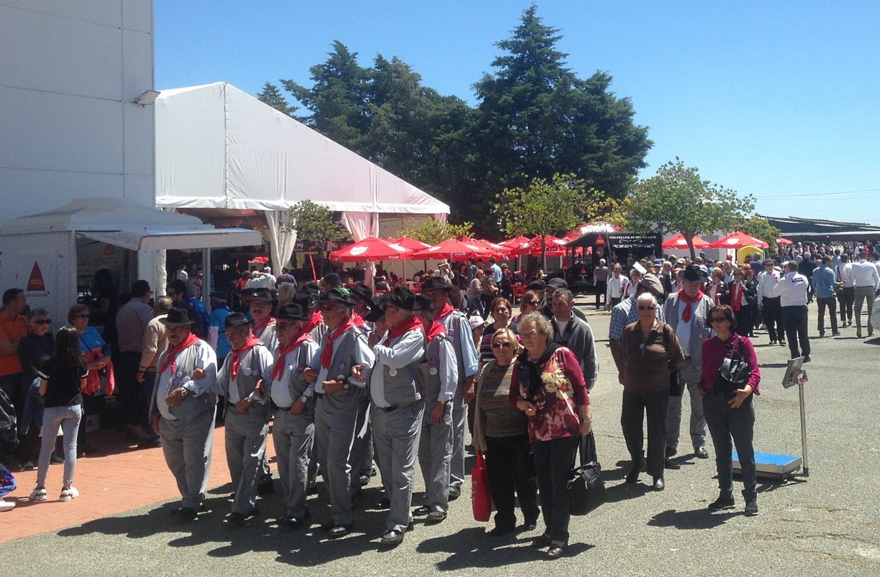 IMG_7449.JPG IMG_7449.JPG