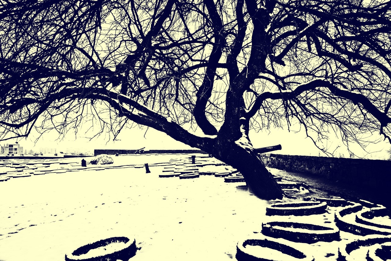 DSCF2663 - cópia copy - cópia.jpg