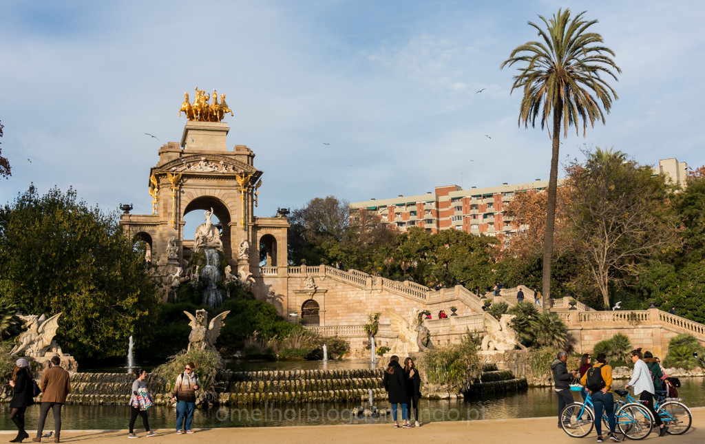 DSC03836.jpg DSC03836.jpg