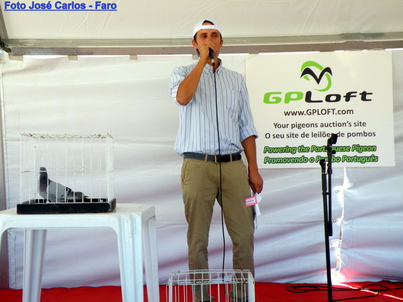 Derby Faro 2017 122.JPG