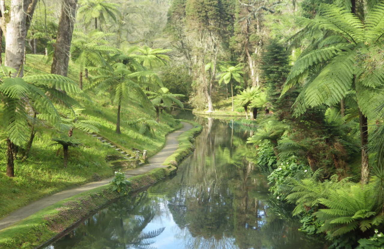 IMGP5933-paisagens 2017.JPG