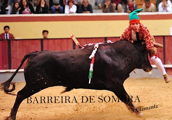 barreira de sombra15-15-27-DSC_9761.JPG barreira de sombra15-15-27-DSC_9761.JPG